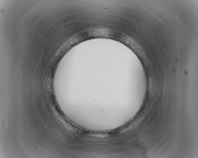 X0000086040449200704202015