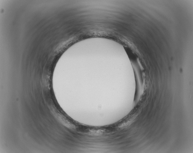 X0000086040450200704202015