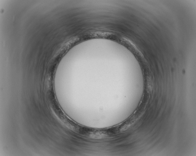 X0000086040451200704202015