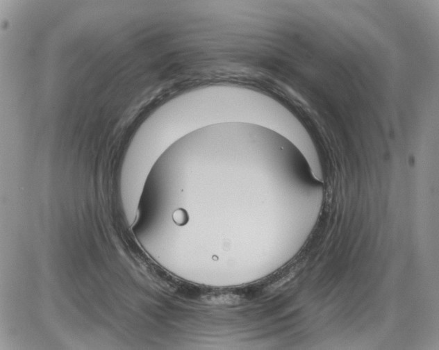 X0000086040452200704202015