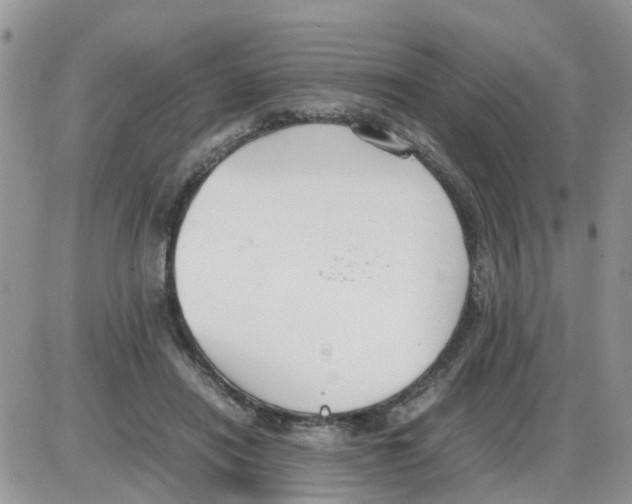 X0000086040454200704202015