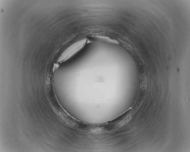 X0000086040456200704202015