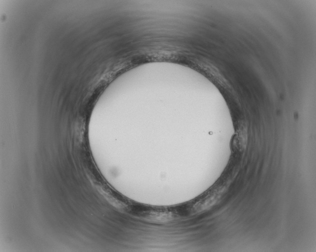 X0000086040458200704202015