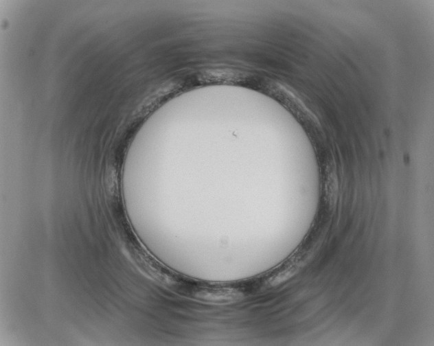 X0000086040459200704202015