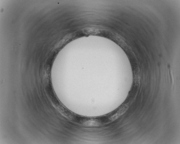 X0000086040460200704202015