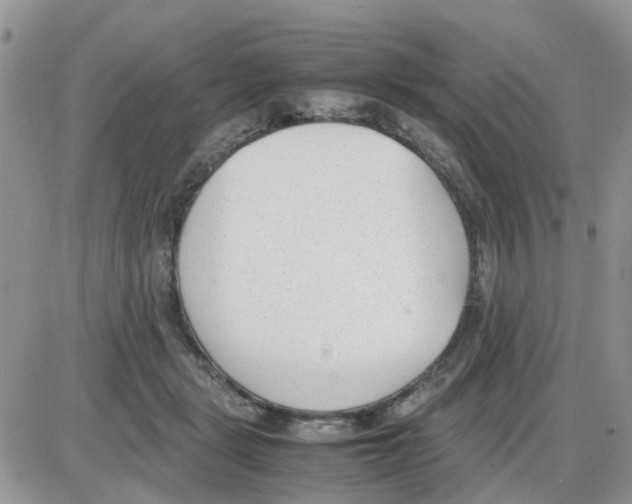 X0000086040461200704202015