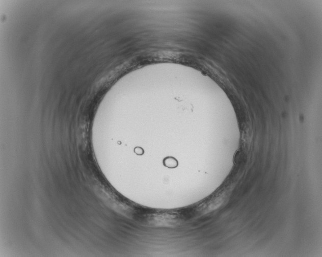 X0000086040462200704202015