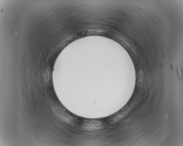 X0000086040463200704202015