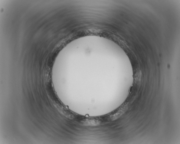 X0000086040464200704202015