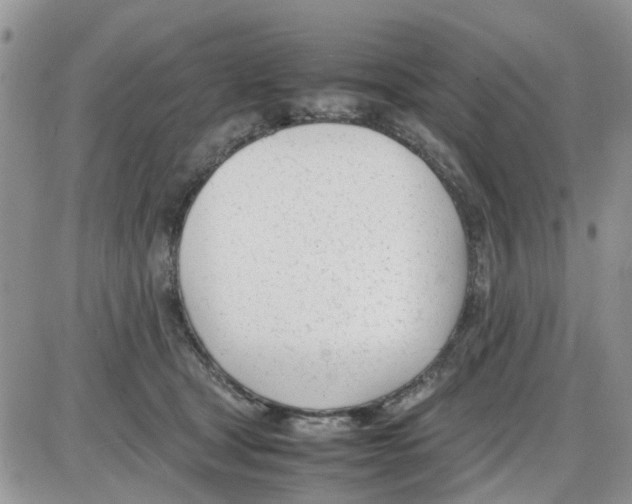 X0000086040465200704202015