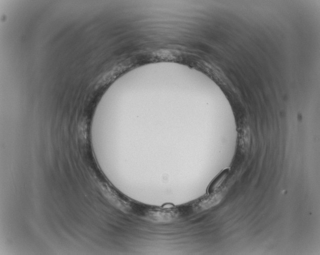 X0000086040466200704202015