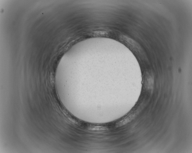 X0000086040467200704202015