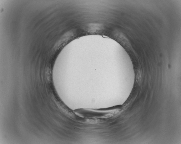 X0000086040470200704202015