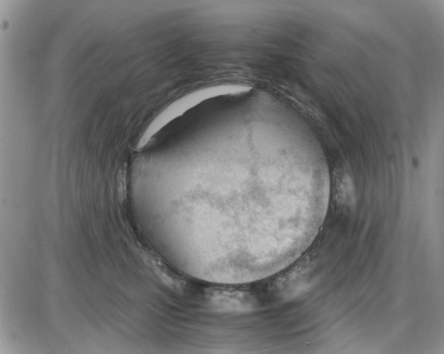 X0000086040471200704202015