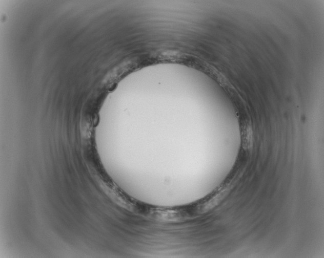 X0000086040472200704202015