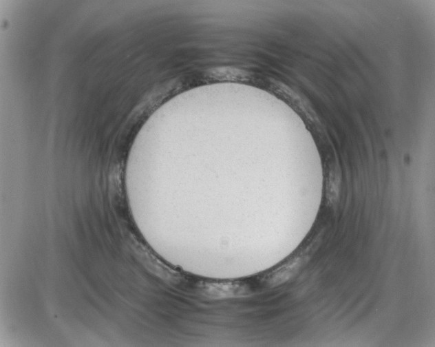 X0000086040473200704202015