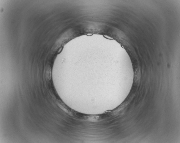 X0000086040474200704202015