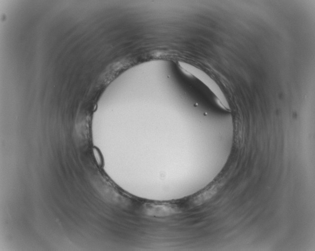 X0000086040475200704202015