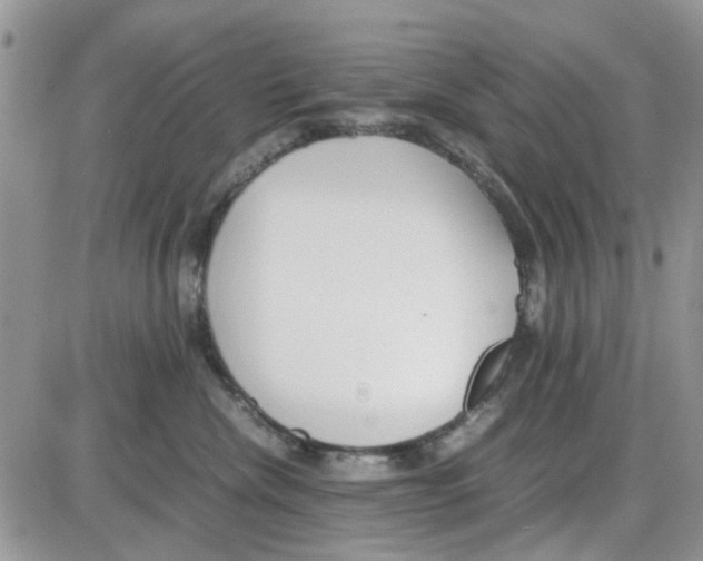 X0000086040476200704202015