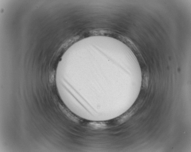 X0000086040477200704202015