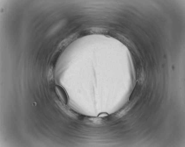 X0000086040478200704202015