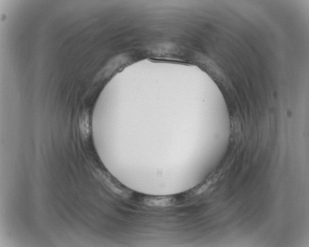 X0000086040479200704202015