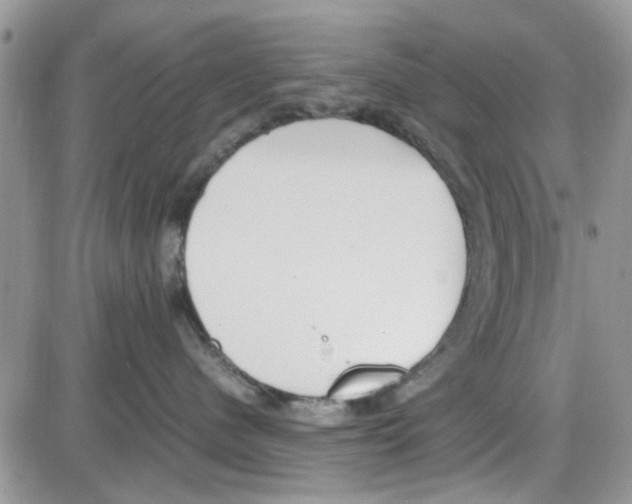 X0000086040480200704202015