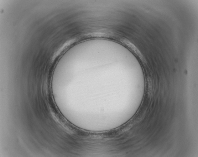 X0000086040482200704202015