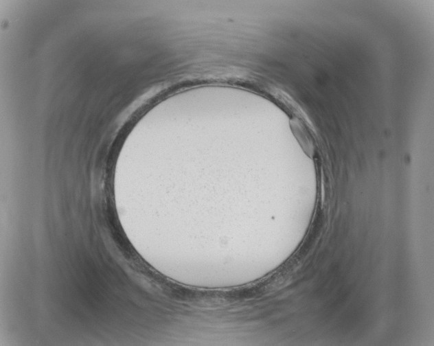 X0000086040483200704202015