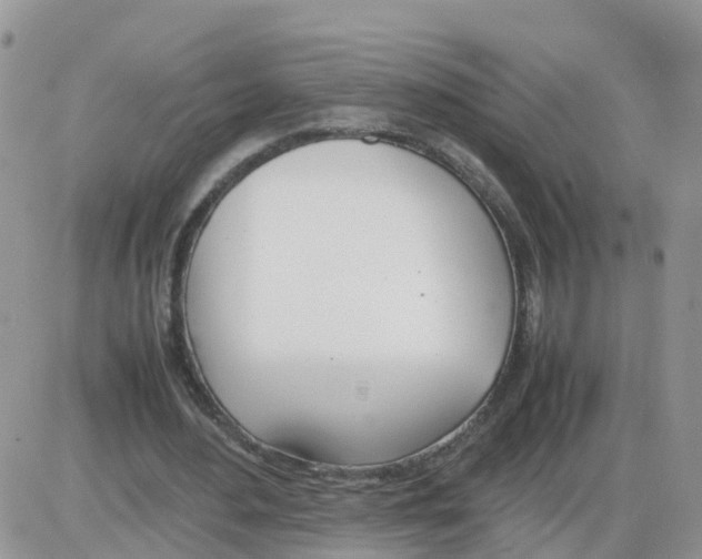 X0000086040484200704202015