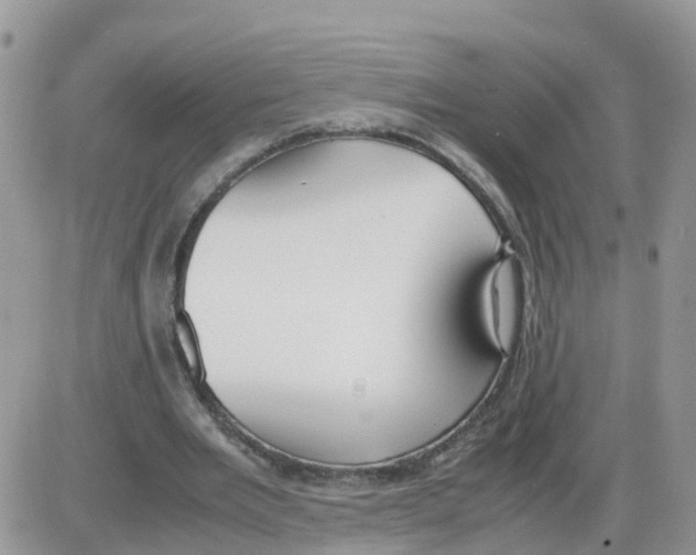 X0000086040485200704202015