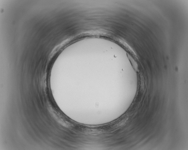 X0000086040486200704202015