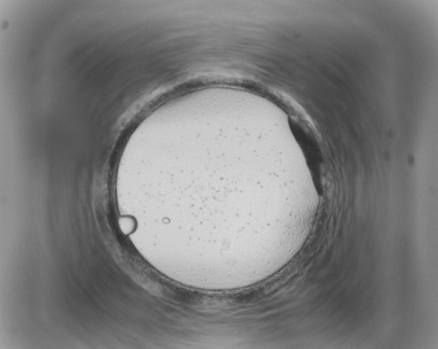 X0000086040487200704202015