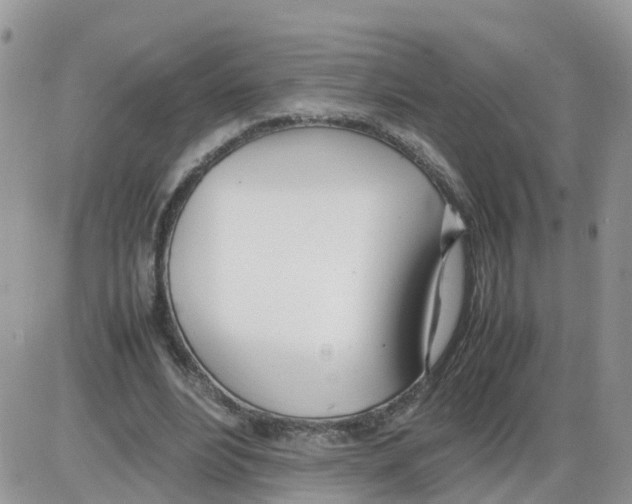 X0000086040488200704202015