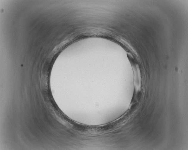 X0000086040489200704202015