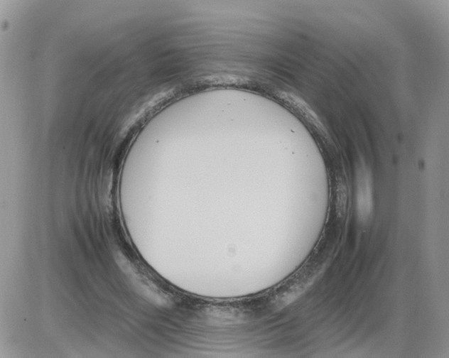 X0000086040490200704202015