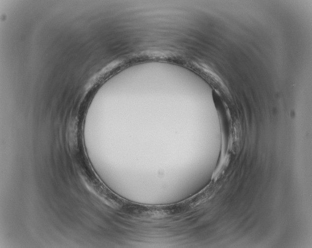 X0000086040492200704202015