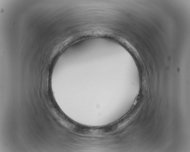 X0000086040493200704202015