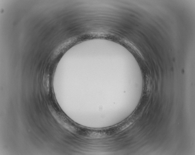 X0000086040494200704202014