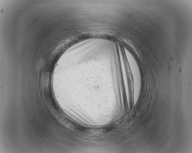 X0000086040495200704202014