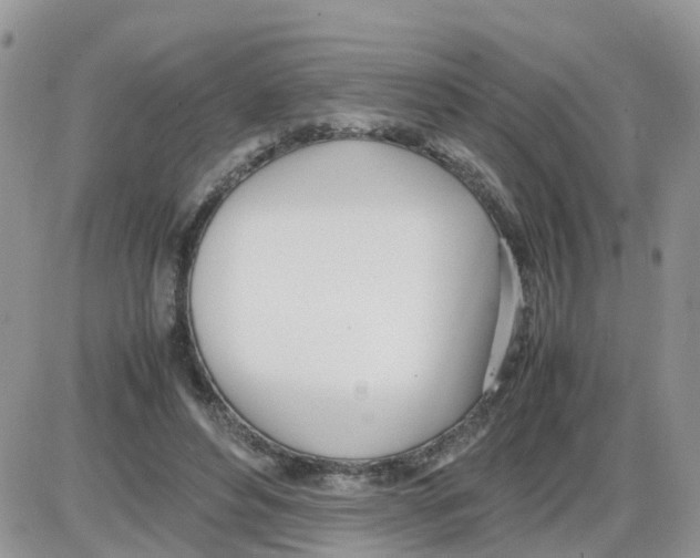 X0000086040496200704202014