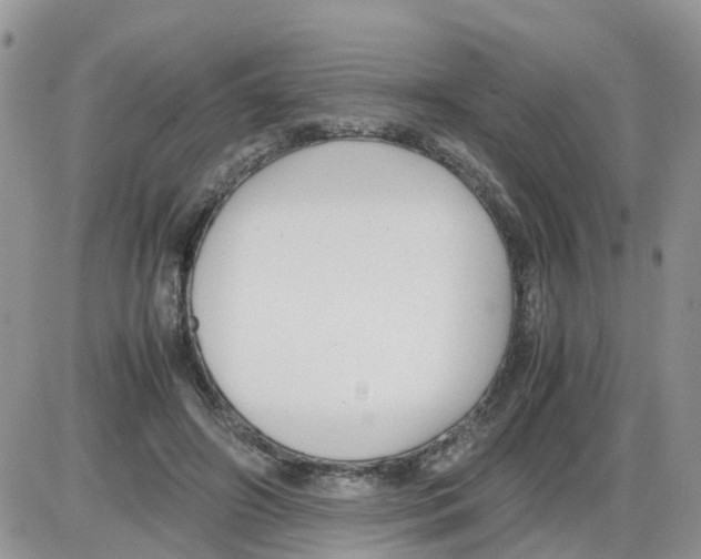 X0000086040498200704202014