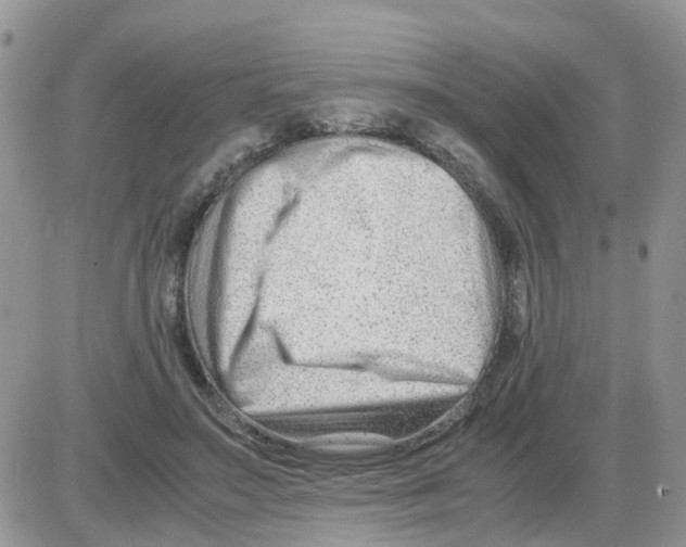 X0000086040499200704202014