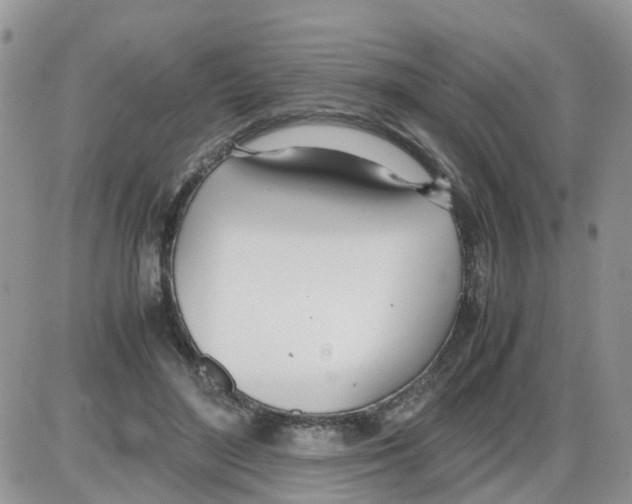 X0000086040500200704202014