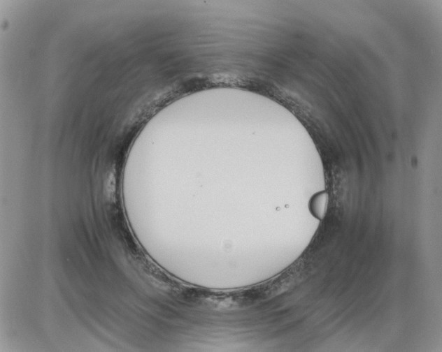 X0000086040502200704202014