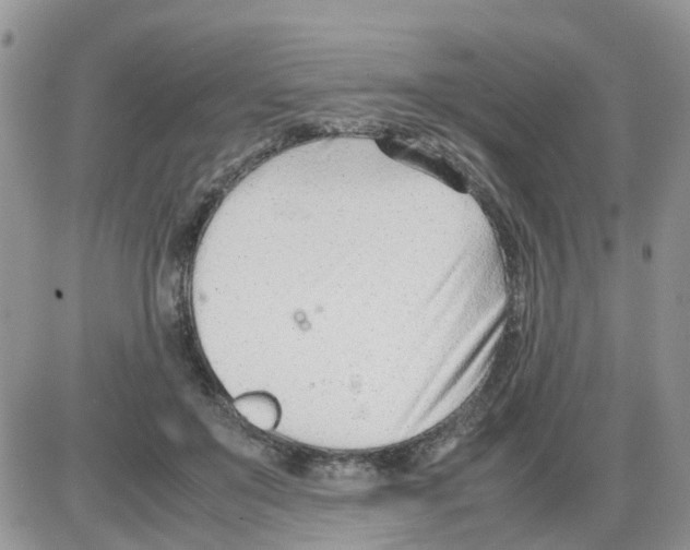 X0000086040503200704202014