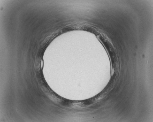 X0000086040505200704202014