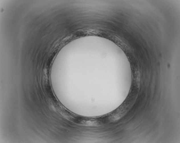 X0000086040506200704202014