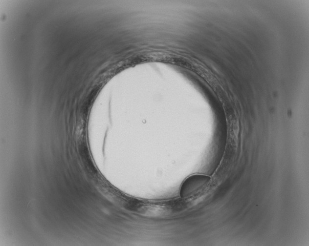 X0000086040507200704202014