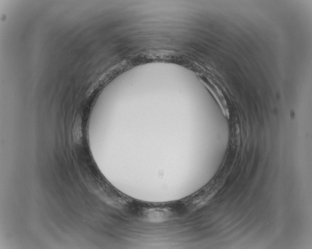 X0000086040508200704202014